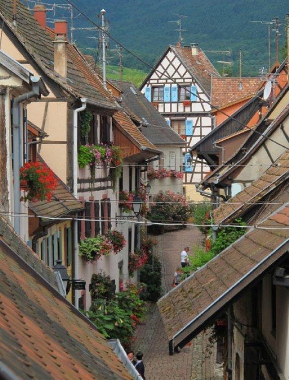 Gite Au Coeur D'Eguisheim Rum bild